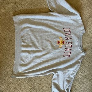 Iowa State Vintage Sweater Mens 4XL